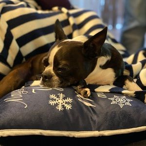 Meet your Posher, Allison